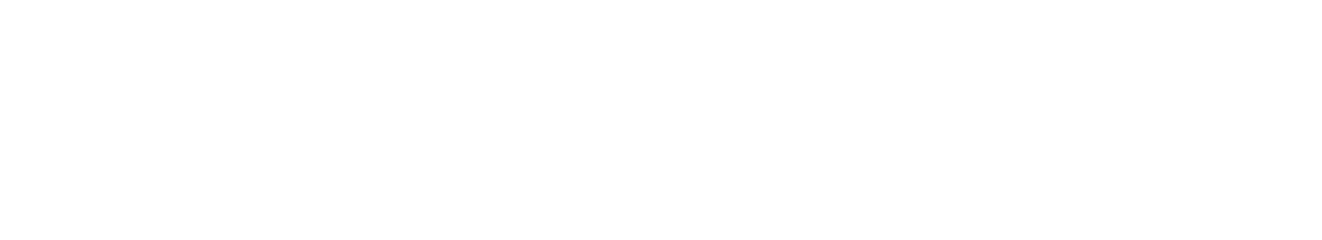 Florencia Garibaldi - Brand Illusionist